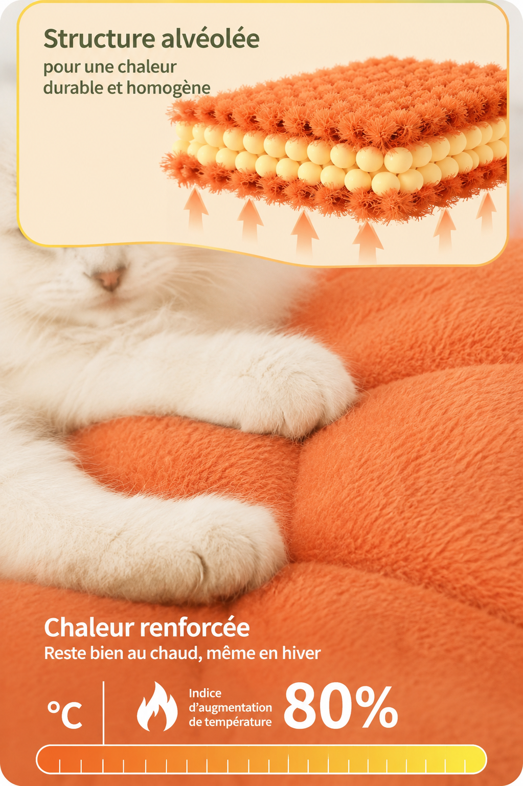 Petit poussin