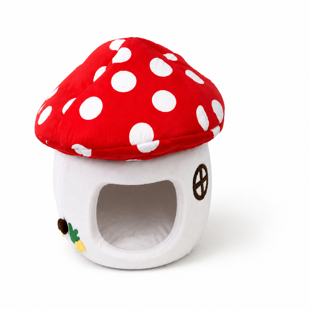 Lit champignon