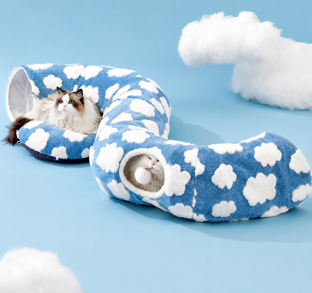 Nuage